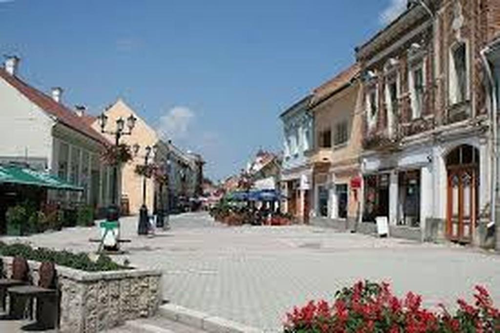 Betty Panzio Hotel Miercurea Ciuc Luaran gambar
